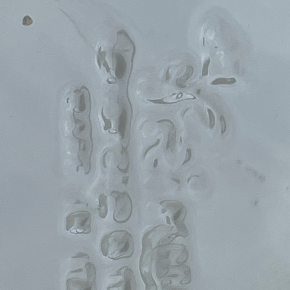 HAND PAINTED 10” FISH Plate Picasso Style ITALY - Picture 5 of 6